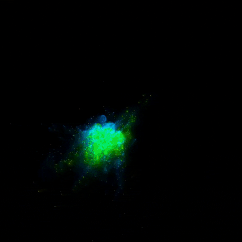 particles GIF by partyonmarz