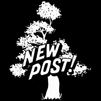 elissonandradefotografia elisson andrade elisson andrade fotografia elissonandradefotografia GIF