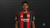 Eintracht Frankfurt GIF by Bundesliga