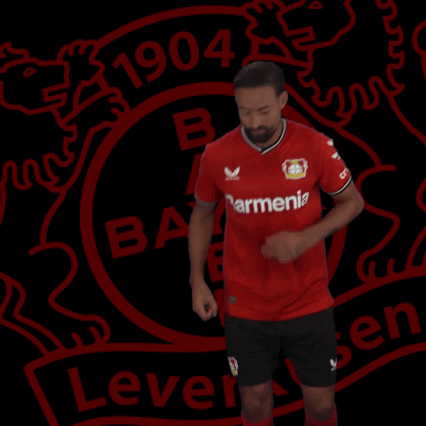 Happy Goal GIF by Bayer 04 Leverkusen