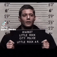 Police Jail GIF