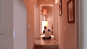 Get Down Love GIF by Queens of the Stone Age