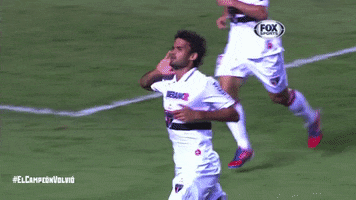 spfc GIF by São Paulo FC