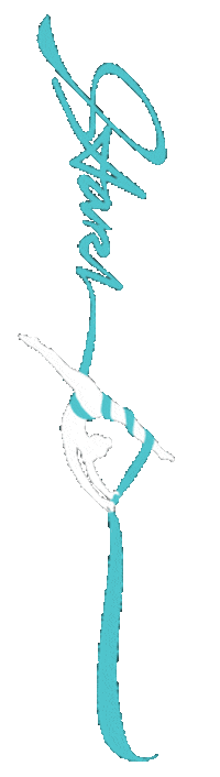 starzaerial starz circus split aerial Sticker