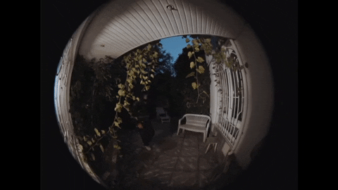 s3nyaaa giphygifmaker GIF