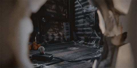 Marcel The Shell With Shoes On GIF by A24