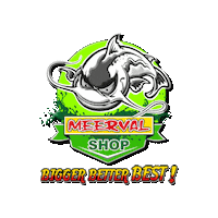 meervalshop blackcat catfish waller silure Sticker