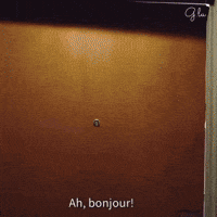 Bonjour GIF
