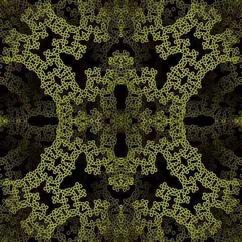 fractal GIF by partyonmarz