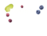Superfruit Immunity Sticker by Noni by NewAge_DACH
