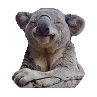 happy chill STICKER by imoji