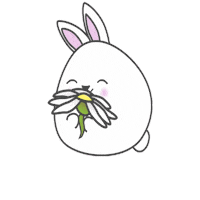 Joy Bounce Sticker by Rainbow Rabbits