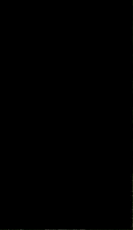 GIF animado