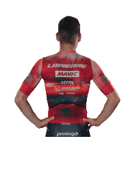 Bike Litschi Sticker by Lapierre Mavic Unity