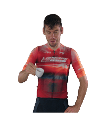 teamlapierremavicunity lapierre mavic unity team lmu litschi thomas litscher Sticker