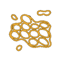 Ipaw Sticker by PPTA Global