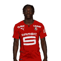 Football Rennes Sticker by Stade Rennais F.C.