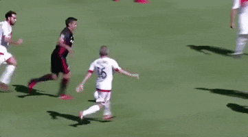 soccer mls GIF by D.C. United