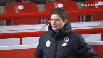 Football Sport GIF by VfL Wolfsburg