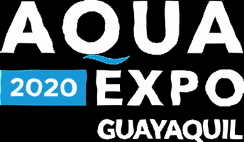 cna_ecuador shrimp aquaexpo cnaecuador aquaexpo2020 GIF