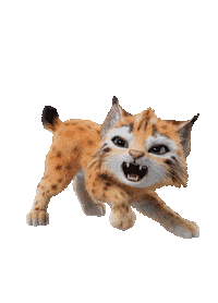 Heidi Sticker by BKM Online