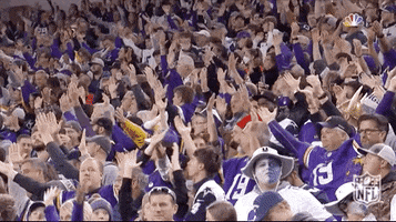 Minnesota Vikings Football GIF by NFL
