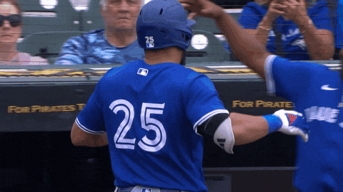Happy Blue Jays GIF by Toronto Blue Jays