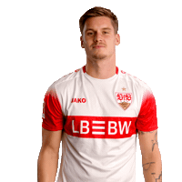 Jako Hendriks Sticker by VfB Stuttgart 1893