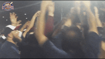 EvansvilleOtters happy excited celebrate baseball GIF