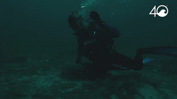 Osborne Reef