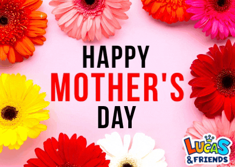 Happy Mothers Day GIF by Lucas and Friends by RV AppStudios