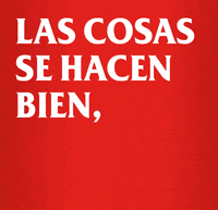 Amstel_ES beer ok perfect well done GIF
