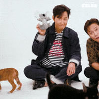Lee Jung Jae Puppy GIF by BuzzFeed