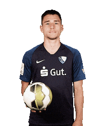 Vfl Bochum Football Sticker by Ruhr Games