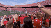 Ohio State Buckeyes Football GIF by Ohio State Athletics