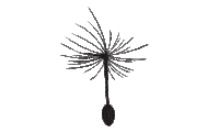 DandelionDriftwood dragon dd dandelion dragonfly Sticker