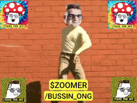 GIF by Zoomer