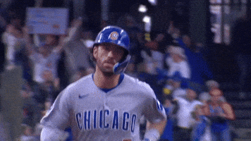 Chicago Cubs Sport GIF by TheDreamTeam 
