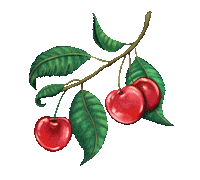 Wedding Cherries Sticker by Bianca Bosso