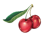Cherries Ostuni Sticker by Bianca Bosso