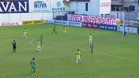 nsc_total giphygifmaker gol futebol chapecoense GIF