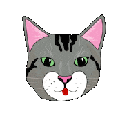 sincerelyleti jencat Sticker by Leti Romano