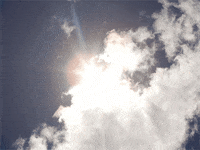 GIF by by The Barkers