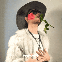 Rose Love GIF by Mi Carta Diseño Humano