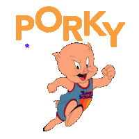 Looney Tunes Sport Sticker by Space Jam