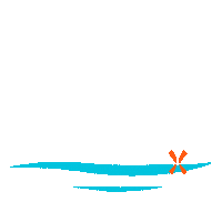 Swim Swimming Sticker by Sport For All