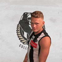 pies magpies GIF by CollingwoodFC