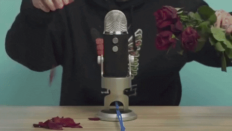 flowers mic GIF by Fuse