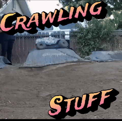 Stuff Crawling GIF