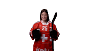 Celebrate National Team Sticker by Swiss Ice Hockey
